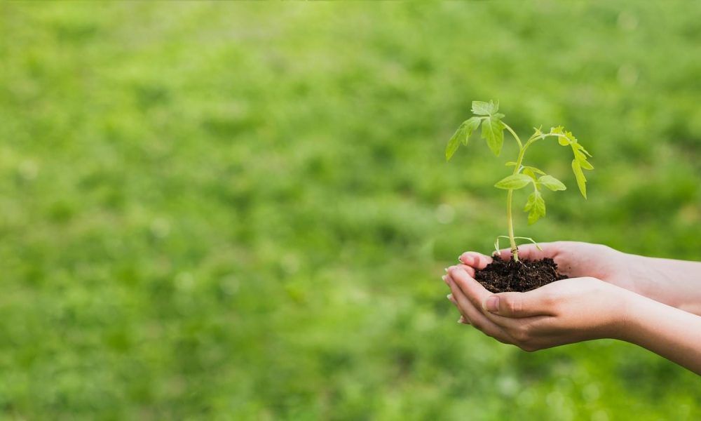 Impressão-Ecologica